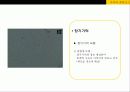 기억과 인지 17페이지