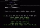 기사문속 번역투 찾기 41페이지