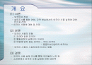 연예 오락 프로그램에서의 외국어 사용 2페이지