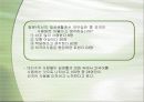 연예 오락 프로그램에서의 외국어 사용 6페이지