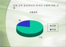 연예 오락 프로그램에서의 외국어 사용 8페이지