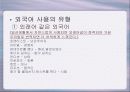 연예 오락 프로그램에서의 외국어 사용 12페이지