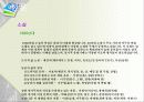 사회가 문학에 미치는 영향 7페이지