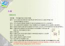 사회가 문학에 미치는 영향 19페이지