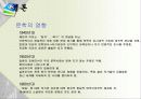 사회가 문학에 미치는 영향 27페이지