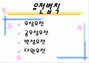 생명의 시작과 유전 태아와 환경적 요인 11페이지