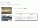 지구재앙보고서PPT 3페이지