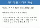 유투브의 환경과 장.단점 및 마케팅 13페이지