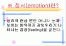 영아기의 정서 사회성 3페이지