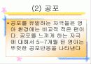 영아기의 정서 사회성 12페이지