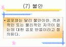 영아기의 정서 사회성 17페이지