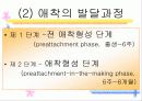 영아기의 정서 사회성 25페이지