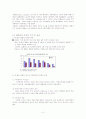 환율과 원화 정책 2페이지