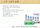 소주시장분석(산업조직론) 6페이지