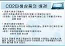 CO2관련 파생금융상품 3페이지