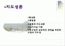 지도성론 2페이지