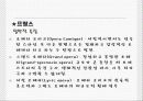 19세기 낭만주의 오페라 11페이지