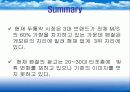 펜잘 광고마케팅 전략 3페이지