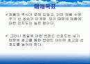 펜잘 광고마케팅 전략 43페이지