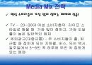 펜잘 광고마케팅 전략 45페이지