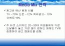 펜잘 광고마케팅 전략 46페이지