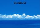펜잘 광고마케팅 전략 52페이지