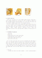 OA(Osteoarthritis)- 퇴행성 관절염 5페이지