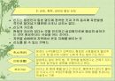 신도 (神道) 11페이지