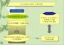 신도 (神道) 12페이지