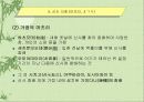신도 (神道) 16페이지