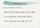 정책과정론(의약분업) 3페이지