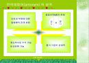 국어의미론-대립관계 3페이지