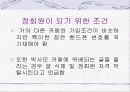 박근혜의원 - 박사모 17페이지