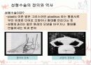 성형수술의 심각성에 대한 공익광고 분석 10페이지