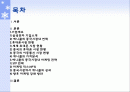 삼성전자 애니콜 마케팅 전략 2페이지