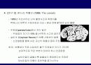 가장 뛰어난 뇌의 조건 18페이지
