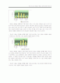 DMB서비스의 이동성과 수용자의 이상적인 경제적비용 14페이지