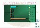 샐러드와 드레싱 13페이지