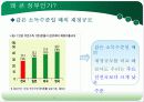 큰 정부  VS  작은 정부 14페이지