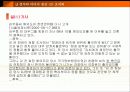 미디어의 정치성 27페이지