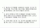 제7차 수학과 교육과정 13페이지