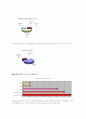 성매매특별법에 대해서 4페이지