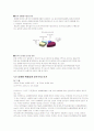 성매매특별법에 대해서 5페이지