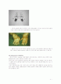 RA (RheumAtoid)루마티스 OA(Osteoarthritis)퇴행성 관절염 4페이지