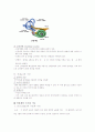 이비인후과와 안과계의 구조 7페이지