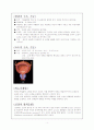 신장의 구조와 기능 & 남성 생식기계구조와 기능 4페이지