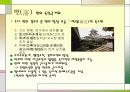 번(藩)과 막부의 관계 9페이지