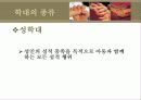 아동학대 9페이지