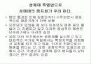 성매매 특별법 17페이지