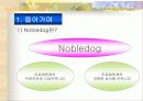 애견 마케팅 사업보고서 5페이지